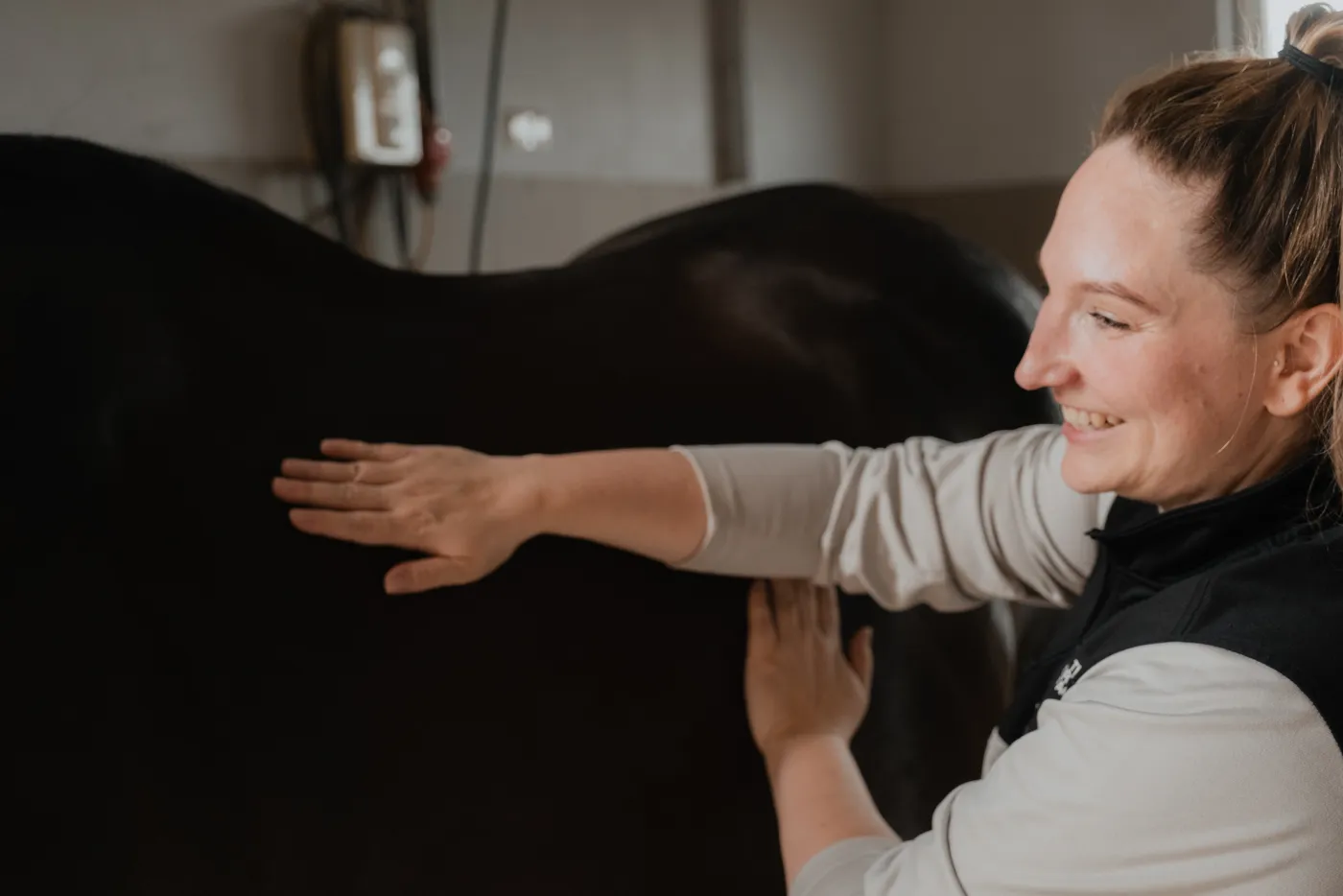 Pferdetherapie - Analytische Behandlung