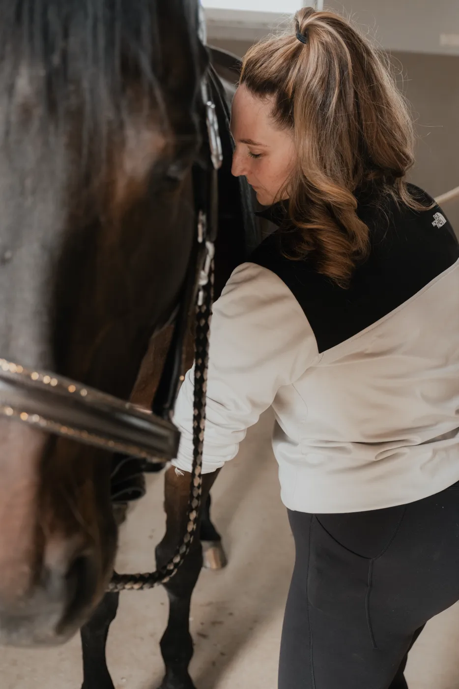 Osteopathic treatment on a horse