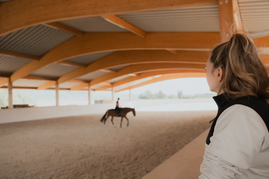 Riding and in-hand work lessons with a horse